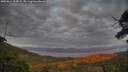 ./images/calvert/fitz-hugh-hecate/20250614/fitz-hugh-hecate20250614_213007M.jpg