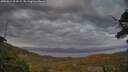 ./images/calvert/fitz-hugh-hecate/20250614/fitz-hugh-hecate20250614_213509M.jpg