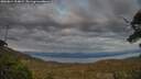 ./images/calvert/fitz-hugh-hecate/20250614/fitz-hugh-hecate20250614_214009M.jpg