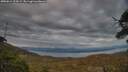 ./images/calvert/fitz-hugh-hecate/20250614/fitz-hugh-hecate20250614_214508M.jpg