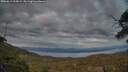 ./images/calvert/fitz-hugh-hecate/20250614/fitz-hugh-hecate20250614_215008M.jpg