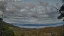 ./images/calvert/fitz-hugh-hecate/20250614/fitz-hugh-hecate20250614_215507M.jpg
