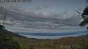 ./images/calvert/fitz-hugh-hecate/20250614/fitz-hugh-hecate20250614_220506M.jpg