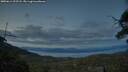 ./images/calvert/fitz-hugh-hecate/20250614/fitz-hugh-hecate20250614_222508M.jpg