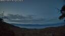 ./images/calvert/fitz-hugh-hecate/20250614/fitz-hugh-hecate20250614_223508M.jpg