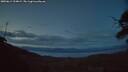 ./images/calvert/fitz-hugh-hecate/20250614/fitz-hugh-hecate20250614_224009M.jpg