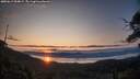 ./images/calvert/fitz-hugh-hecate/20250615/fitz-hugh-hecate20250615_054009M.jpg