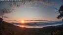 ./images/calvert/fitz-hugh-hecate/20250615/fitz-hugh-hecate20250615_055009M.jpg