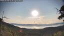 ./images/calvert/fitz-hugh-hecate/20250615/fitz-hugh-hecate20250615_073509M.jpg