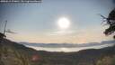 ./images/calvert/fitz-hugh-hecate/20250615/fitz-hugh-hecate20250615_074010M.jpg