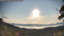 ./images/calvert/fitz-hugh-hecate/20250615/fitz-hugh-hecate20250615_074510M.jpg