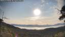 ./images/calvert/fitz-hugh-hecate/20250615/fitz-hugh-hecate20250615_075010M.jpg