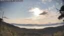 ./images/calvert/fitz-hugh-hecate/20250615/fitz-hugh-hecate20250615_075510M.jpg