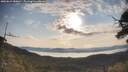 ./images/calvert/fitz-hugh-hecate/20250615/fitz-hugh-hecate20250615_080011M.jpg