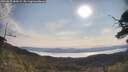 ./images/calvert/fitz-hugh-hecate/20250615/fitz-hugh-hecate20250615_085009M.jpg
