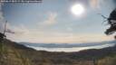 ./images/calvert/fitz-hugh-hecate/20250615/fitz-hugh-hecate20250615_085509M.jpg