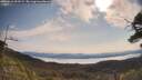 ./images/calvert/fitz-hugh-hecate/20250615/fitz-hugh-hecate20250615_093508M.jpg