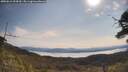 ./images/calvert/fitz-hugh-hecate/20250615/fitz-hugh-hecate20250615_094510M.jpg
