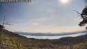 ./images/calvert/fitz-hugh-hecate/20250615/fitz-hugh-hecate20250615_095508M.jpg