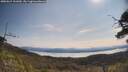 ./images/calvert/fitz-hugh-hecate/20250615/fitz-hugh-hecate20250615_101009M.jpg