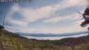 ./images/calvert/fitz-hugh-hecate/20250615/fitz-hugh-hecate20250615_103509M.jpg
