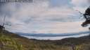 ./images/calvert/fitz-hugh-hecate/20250615/fitz-hugh-hecate20250615_105010M.jpg