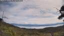 ./images/calvert/fitz-hugh-hecate/20250615/fitz-hugh-hecate20250615_105510M.jpg