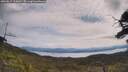 ./images/calvert/fitz-hugh-hecate/20250615/fitz-hugh-hecate20250615_110011M.jpg