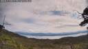 ./images/calvert/fitz-hugh-hecate/20250615/fitz-hugh-hecate20250615_110509M.jpg