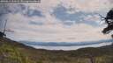 ./images/calvert/fitz-hugh-hecate/20250615/fitz-hugh-hecate20250615_111008M.jpg