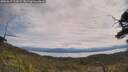 ./images/calvert/fitz-hugh-hecate/20250615/fitz-hugh-hecate20250615_112009M.jpg