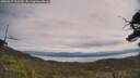 ./images/calvert/fitz-hugh-hecate/20250615/fitz-hugh-hecate20250615_113510M.jpg