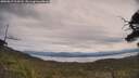 ./images/calvert/fitz-hugh-hecate/20250615/fitz-hugh-hecate20250615_114508M.jpg
