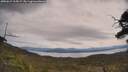 ./images/calvert/fitz-hugh-hecate/20250615/fitz-hugh-hecate20250615_115007M.jpg