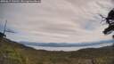 ./images/calvert/fitz-hugh-hecate/20250615/fitz-hugh-hecate20250615_120510M.jpg