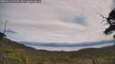 ./images/calvert/fitz-hugh-hecate/20250615/fitz-hugh-hecate20250615_121510M.jpg