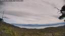 ./images/calvert/fitz-hugh-hecate/20250615/fitz-hugh-hecate20250615_122508M.jpg