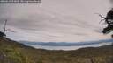 ./images/calvert/fitz-hugh-hecate/20250615/fitz-hugh-hecate20250615_123010M.jpg