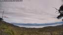 ./images/calvert/fitz-hugh-hecate/20250615/fitz-hugh-hecate20250615_123510M.jpg