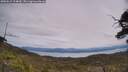 ./images/calvert/fitz-hugh-hecate/20250615/fitz-hugh-hecate20250615_124009M.jpg