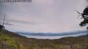 ./images/calvert/fitz-hugh-hecate/20250615/fitz-hugh-hecate20250615_125008M.jpg