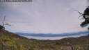 ./images/calvert/fitz-hugh-hecate/20250615/fitz-hugh-hecate20250615_125509M.jpg