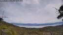 ./images/calvert/fitz-hugh-hecate/20250615/fitz-hugh-hecate20250615_130011M.jpg