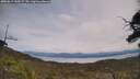 ./images/calvert/fitz-hugh-hecate/20250615/fitz-hugh-hecate20250615_130507M.jpg
