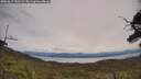 ./images/calvert/fitz-hugh-hecate/20250615/fitz-hugh-hecate20250615_131509M.jpg