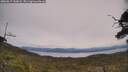 ./images/calvert/fitz-hugh-hecate/20250615/fitz-hugh-hecate20250615_132008M.jpg