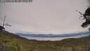 ./images/calvert/fitz-hugh-hecate/20250615/fitz-hugh-hecate20250615_132510M.jpg