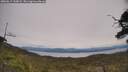 ./images/calvert/fitz-hugh-hecate/20250615/fitz-hugh-hecate20250615_133009M.jpg
