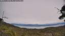 ./images/calvert/fitz-hugh-hecate/20250615/fitz-hugh-hecate20250615_133510M.jpg
