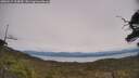 ./images/calvert/fitz-hugh-hecate/20250615/fitz-hugh-hecate20250615_134010M.jpg